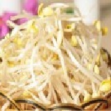 蔬食樂活 - 無毒黃豆芽菜【純素,600克±5%】圖片僅供參考