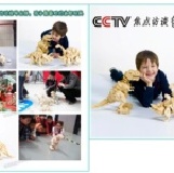 （團購）益智木質電動恐龍．大象玩具 特價：$750