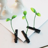 賣萌神器小草髮夾 樂活之木六週年慶~讓您頭上長草