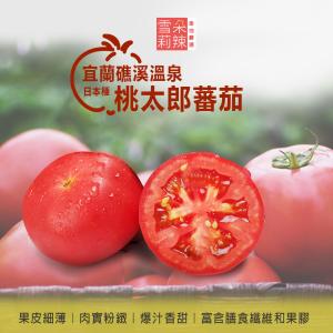 【雪莉朵辣嚴選】桃太郎溫泉番茄