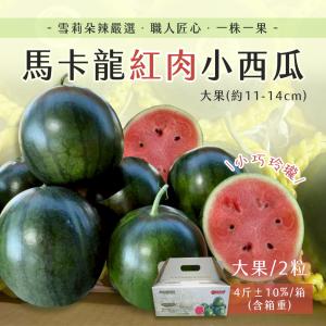 【雪莉朵辣嚴選】馬卡龍 紅肉小西瓜 大果(2粒)4斤箱