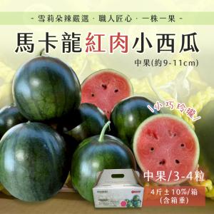 【雪莉朵辣嚴選】馬卡龍 紅肉小西瓜 中果(3-4粒)4斤箱