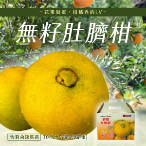 【雪莉朵辣嚴選】無籽肚臍柑（16-22顆） 10斤箱