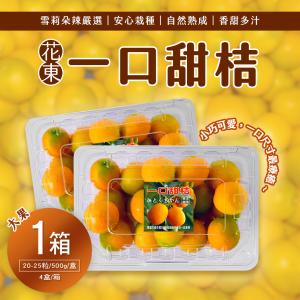 雪莉朵辣嚴選【花東】一口甜桔-大果 2公斤(4盒/箱)