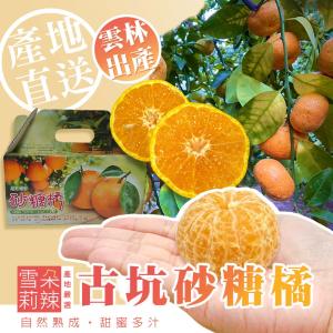 【雪莉朵辣嚴選】古坑砂糖橘 5斤箱(約25-35粒)