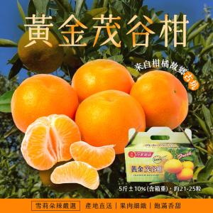 【雪莉朵辣嚴選】黃金茂谷柑 5斤/箱(約21-25粒)