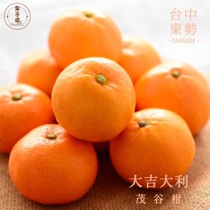 【果子禮】東勢25A-明正茂谷柑 5斤/箱（約15入）