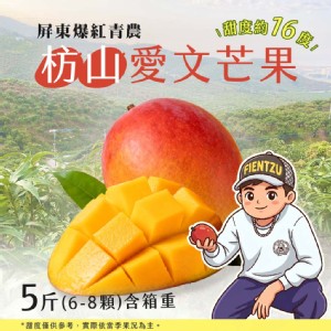 【屏東爆紅青農】枋山愛文芒果 五斤箱(大果6-8顆)-預購