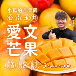 小楊的芒果園【台南玉井】愛文芒果 6顆(五斤裝箱)