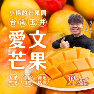 小楊的芒果園【台南玉井】愛文芒果 10-12顆(十斤裝)