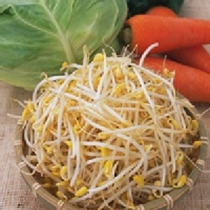 無毒豆芽菜【純素,600克±5%】圖片僅供參考