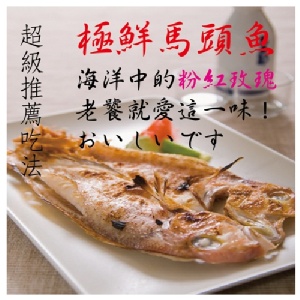 【海撰嚴選】海釣馬頭魚