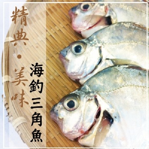 【海撰嚴選】海釣三角魚2尾裝