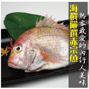 【海撰嚴選】野生赤鯮魚
