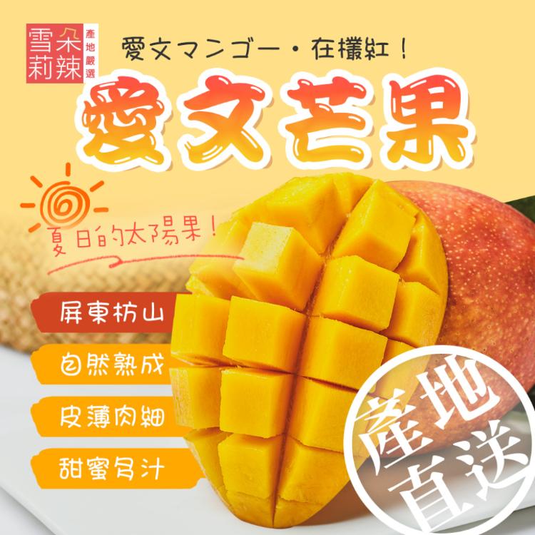 【雪莉朵辣嚴選】屏東枋山愛文芒果-五斤小果