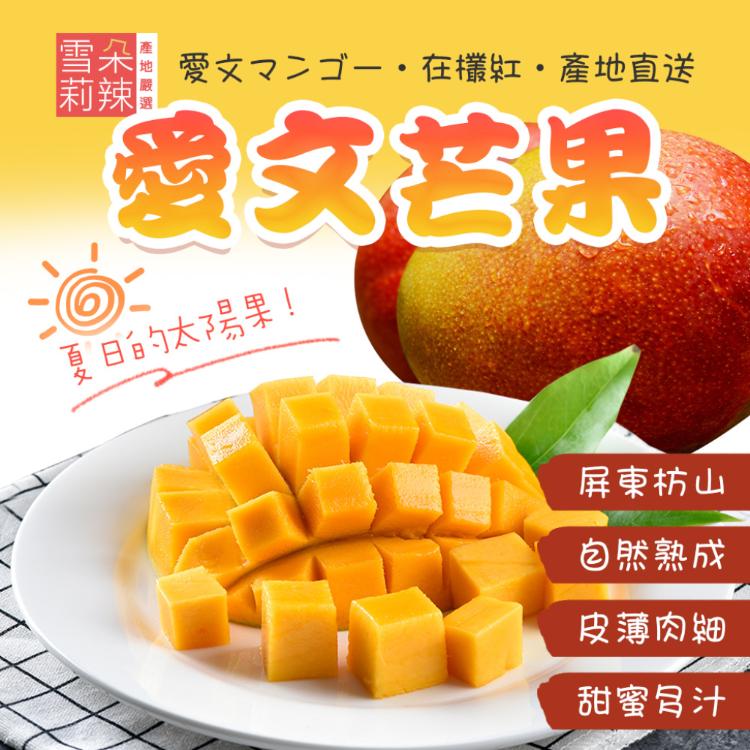 【雪莉朵辣嚴選】屏東枋山愛文芒果-五斤小果