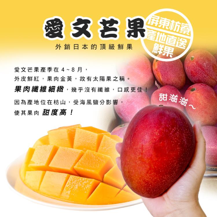 【雪莉朵辣嚴選】屏東枋山愛文芒果-五斤小果