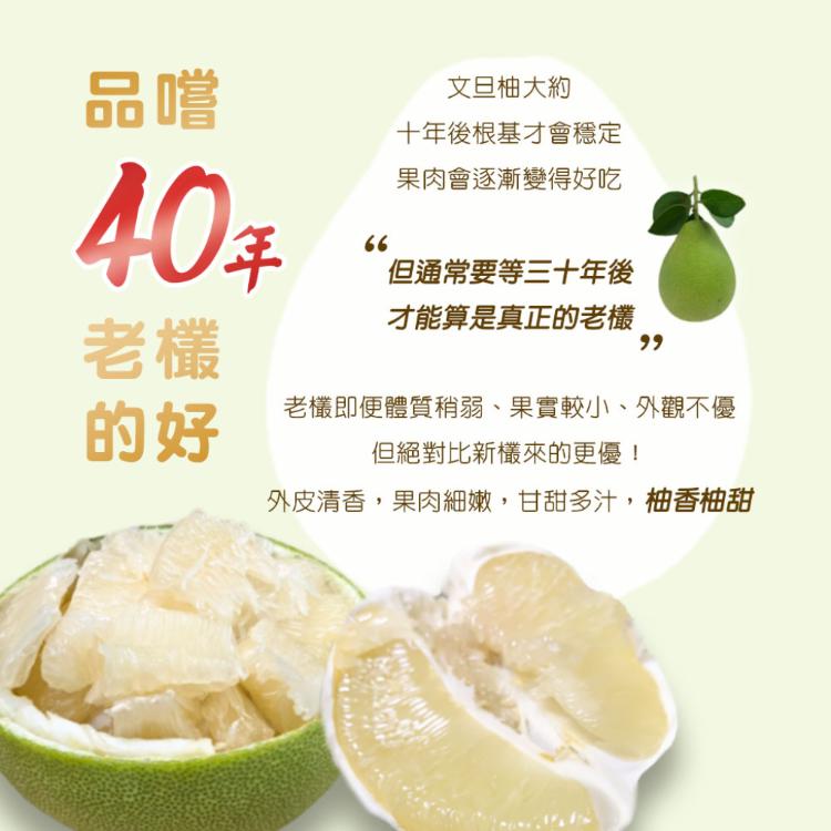 中秋預購2025【柚香柚甜】正宗麻豆文旦