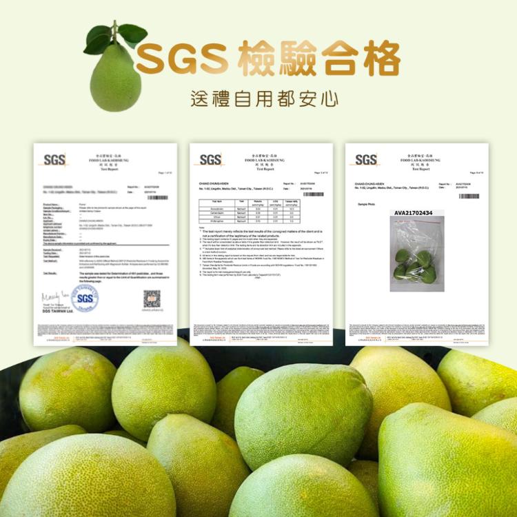 中秋預購2025【柚香柚甜】正宗麻豆文旦