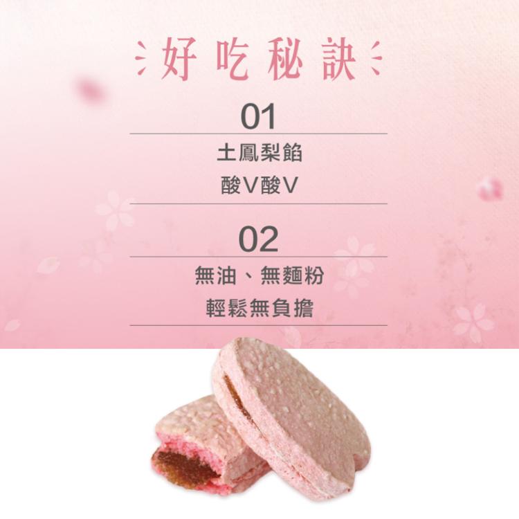 【法布甜】雙味馬卡龍鳳梨酥禮盒 (附提袋/中秋預購2025送禮/月餅)