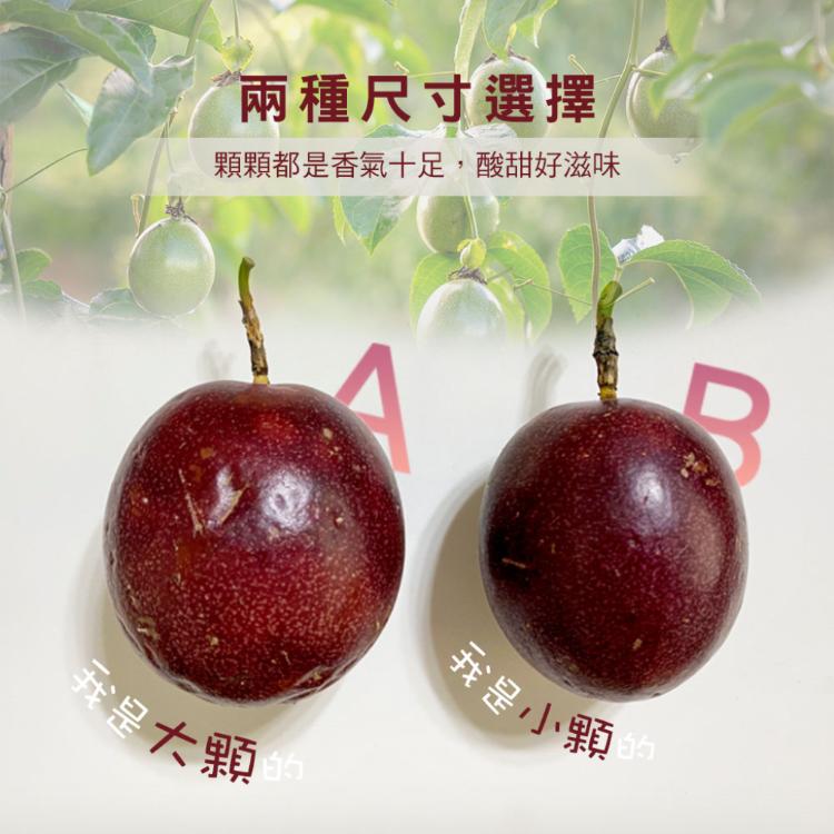 【雪莉朵辣嚴選】南投埔里百香果-A果