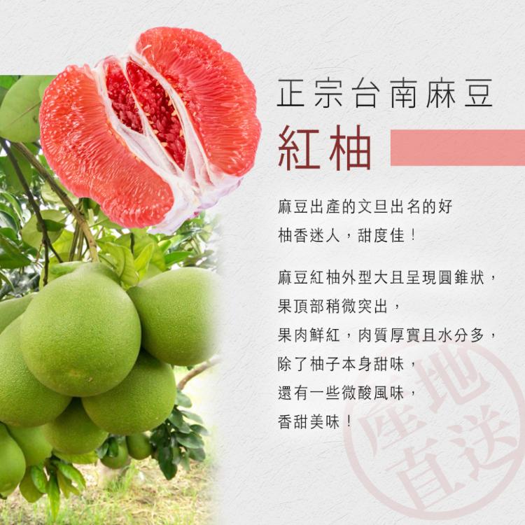 40年老欉【柚香柚甜】正宗麻豆紅柚