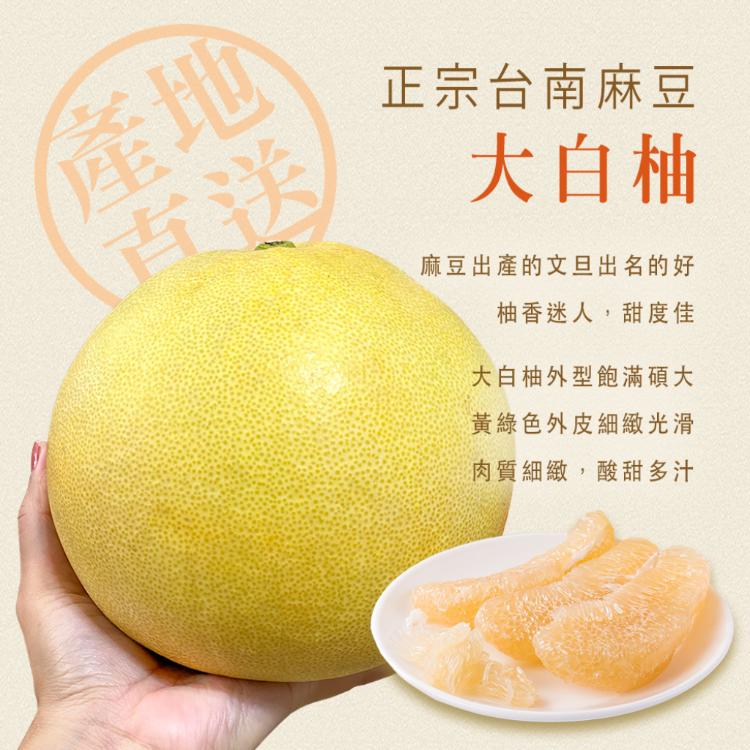 預購【柚香柚甜】正宗麻豆大白柚 10斤±10%/箱