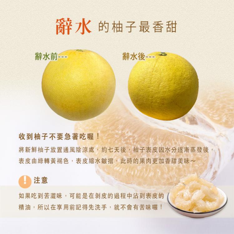 預購【柚香柚甜】正宗麻豆大白柚 10斤±10%/箱