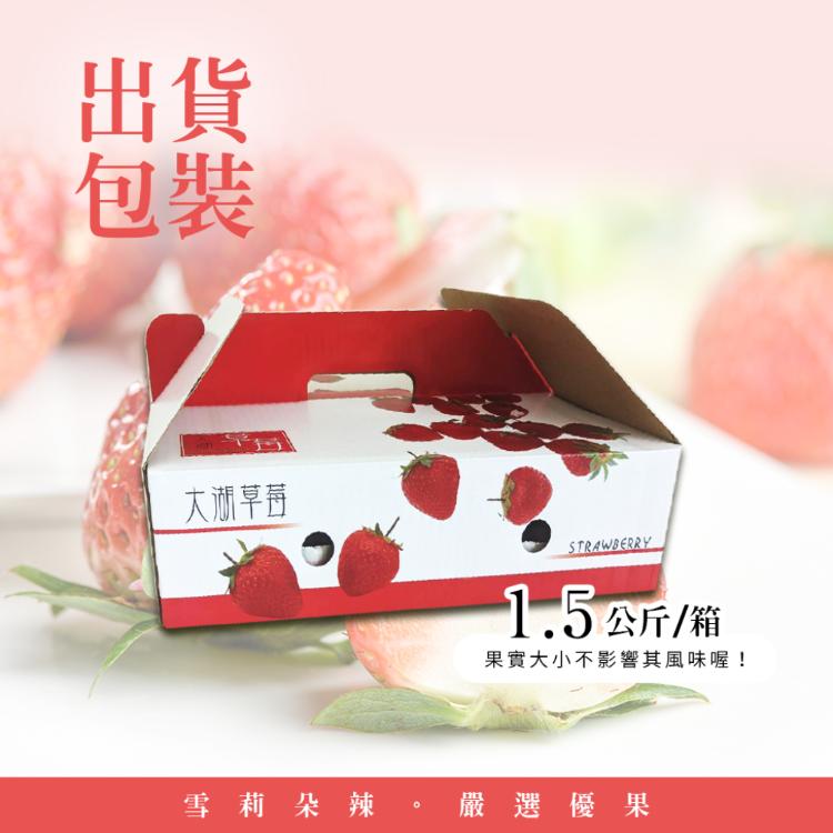 【雪莉朵辣嚴選】大湖美姬草莓 *三號果*