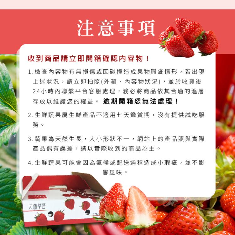 【雪莉朵辣嚴選】大湖美姬草莓 *三號果*