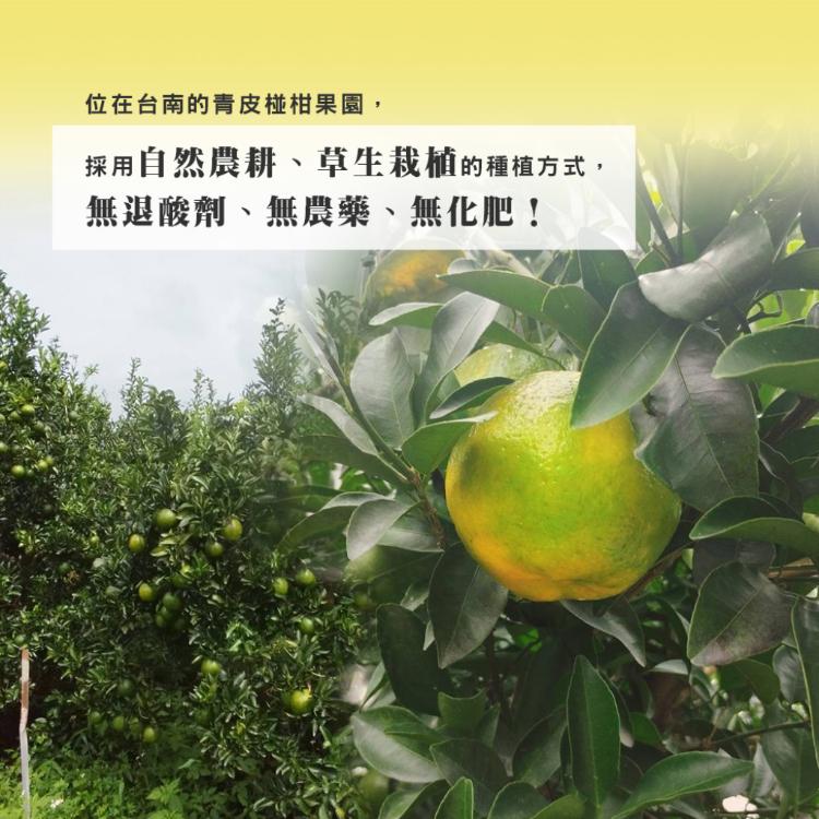 預購【雪莉朵辣嚴選】青皮椪柑 25A級中果 5斤/箱（11-13粒入）