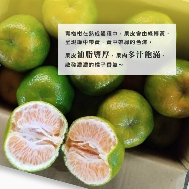 預購【雪莉朵辣嚴選】青皮椪柑 25A級中果 5斤/箱（11-13粒入）
