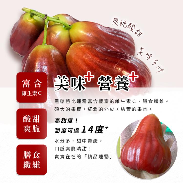 【雪莉朵辣嚴選】黑糖芭比蓮霧 3斤/箱(約9-11粒)