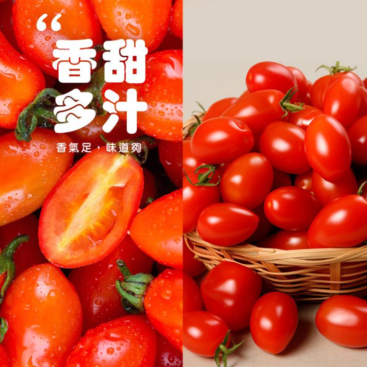 【雪莉朵辣嚴選】溫室栽植 玉女番茄