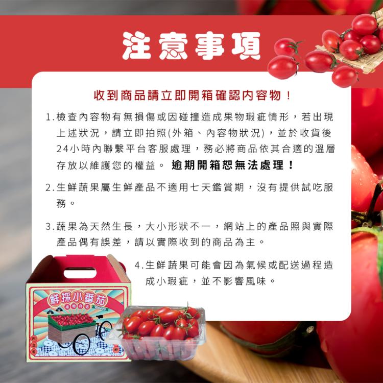 【雪莉朵辣嚴選】溫室栽植 玉女番茄