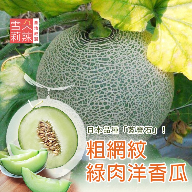 【雪莉朵辣嚴選】粗網紋綠肉洋香瓜