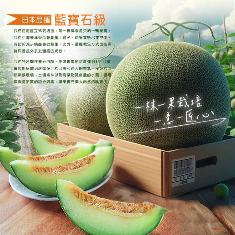 【雪莉朵辣嚴選】粗網紋綠肉洋香瓜