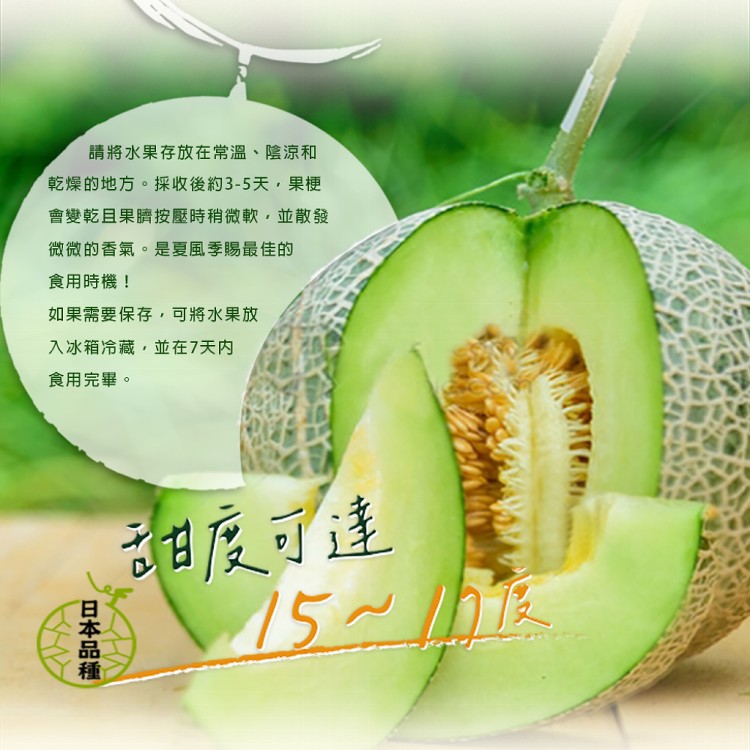 【雪莉朵辣嚴選】粗網紋綠肉洋香瓜