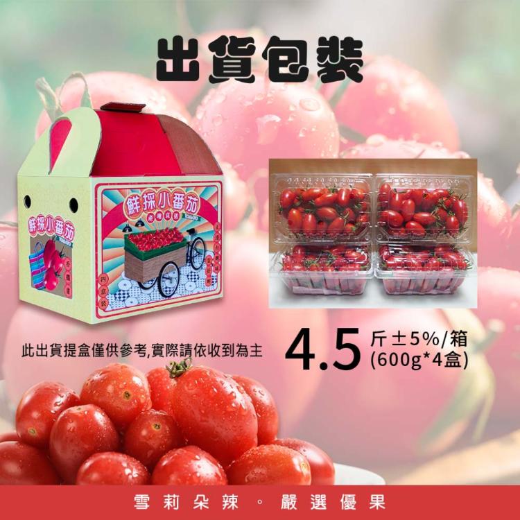 【雪莉朵辣嚴選】溫室栽植 玉女番茄