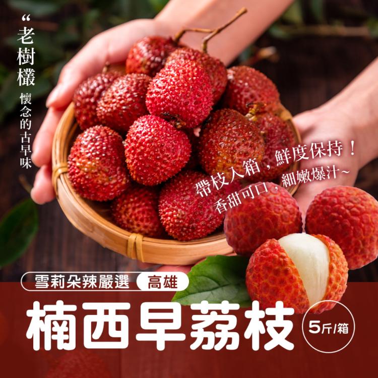 【雪莉朵辣嚴選】楠西早荔枝5斤