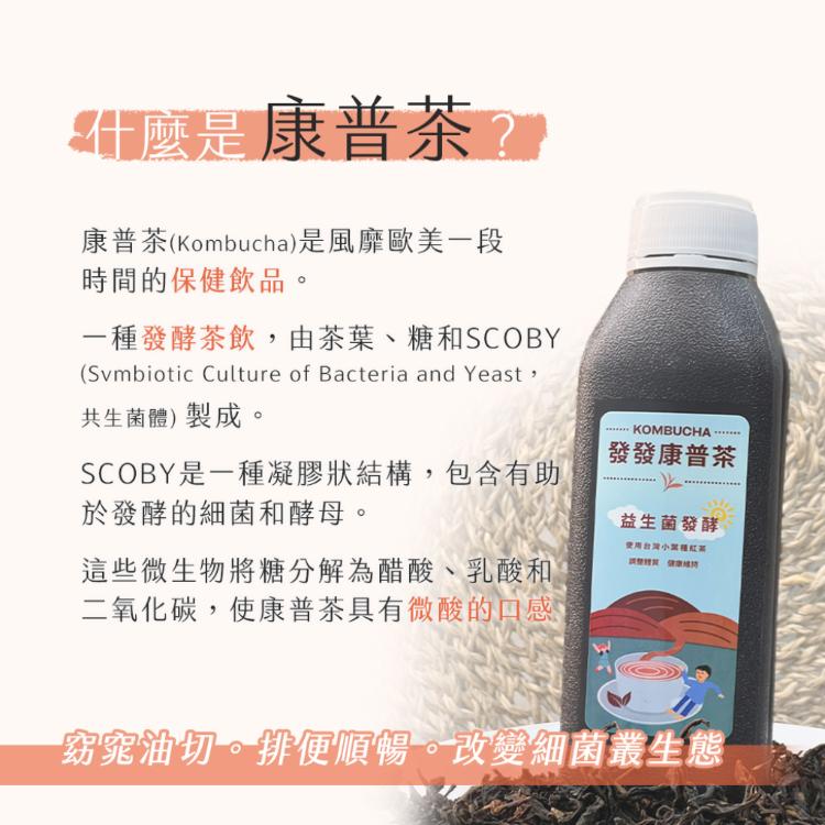 【雪莉朵辣嚴選】發發康普茶(430ml)24入/箱