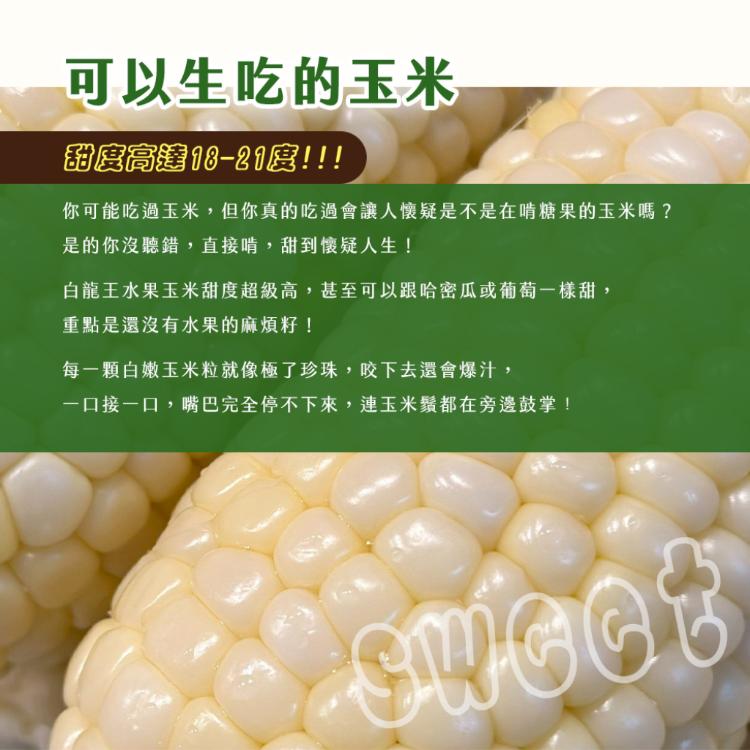 【雪莉朵辣嚴選】白龍王水果玉米 3.6kg/箱 (約11-14支)
