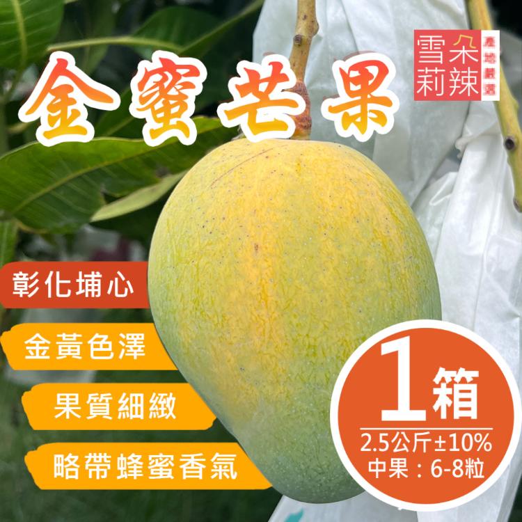 【雪莉朵辣嚴選】金蜜芒果 2.5公斤±10%/箱(中果6-8粒)