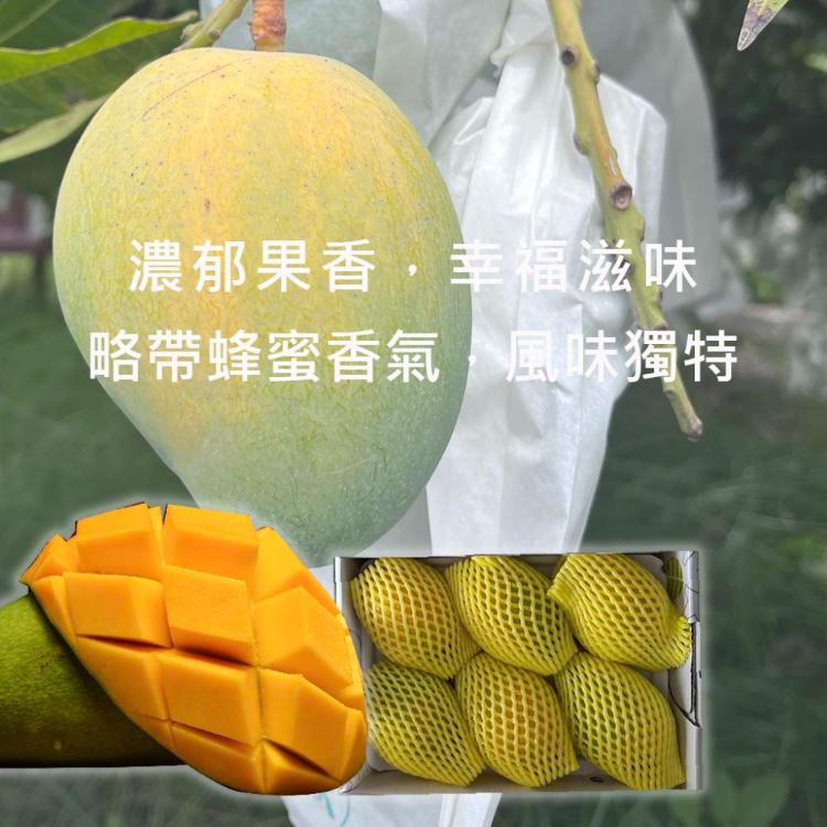 【雪莉朵辣嚴選】金蜜芒果 2.5公斤±10%/箱(大果5粒)
