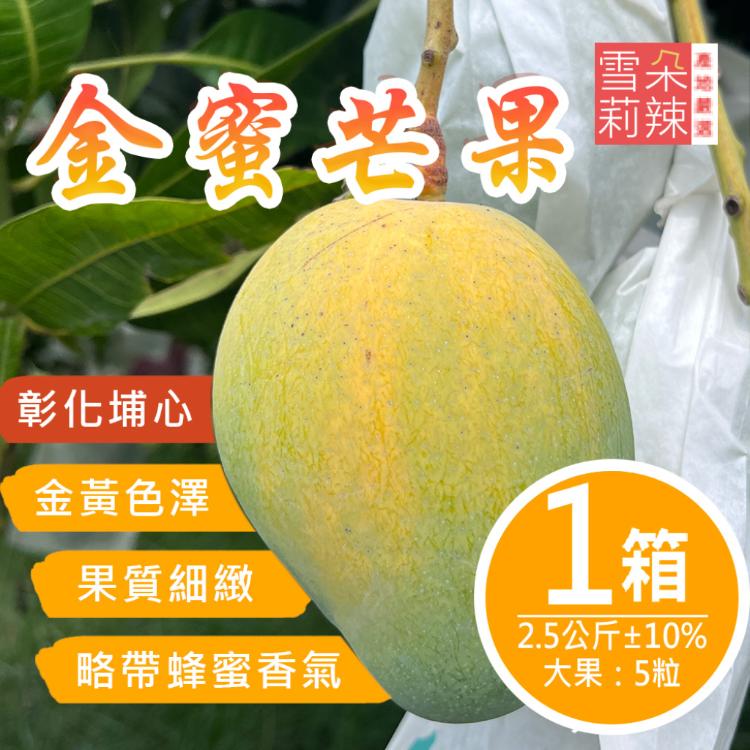 【雪莉朵辣嚴選】金蜜芒果 2.5公斤±10%/箱(大果5粒)