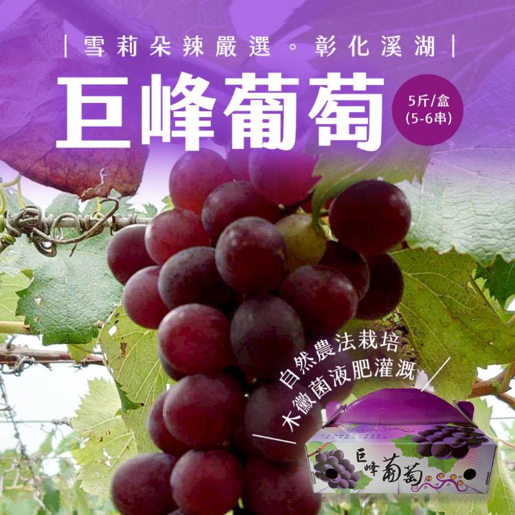 【雪莉朵辣嚴選】巨峰葡萄 5-6串/5斤±5%/盒