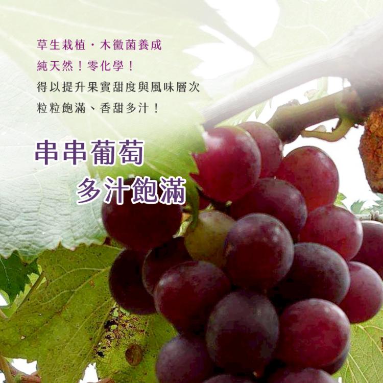 【雪莉朵辣嚴選】巨峰葡萄 5-6串/5斤±5%/盒