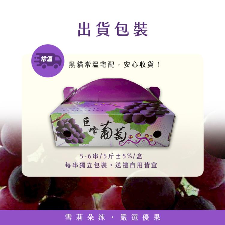 【雪莉朵辣嚴選】巨峰葡萄 5-6串/5斤±5%/盒