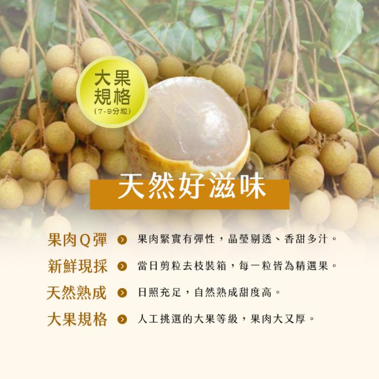 鮮摘龍眼大果 5斤/箱