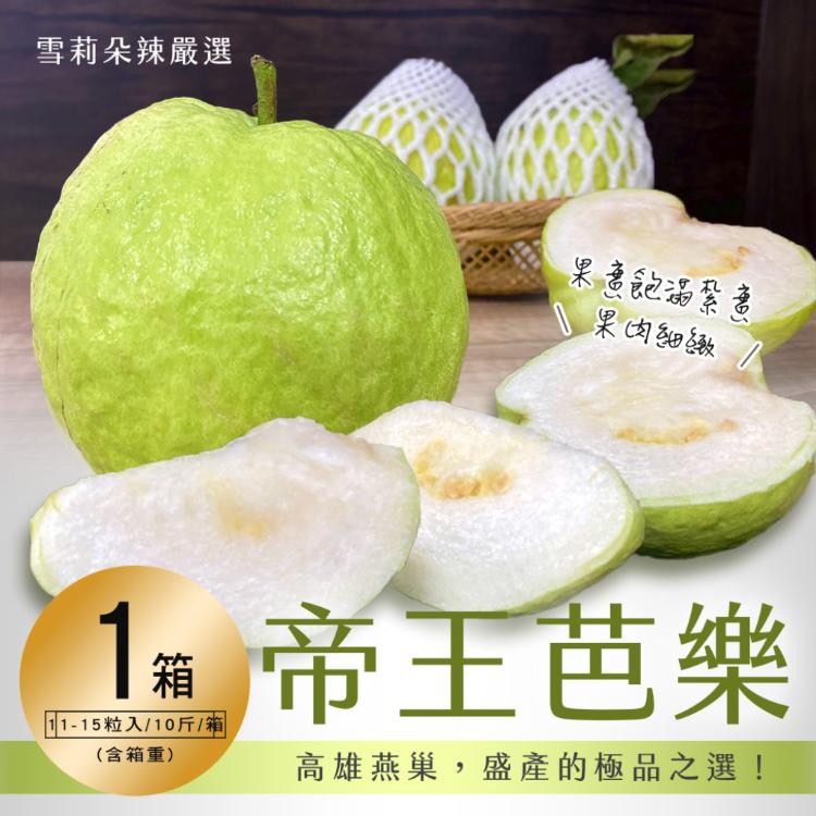 【雪莉朵辣嚴選】帝王芭樂10斤/箱（11-15粒）